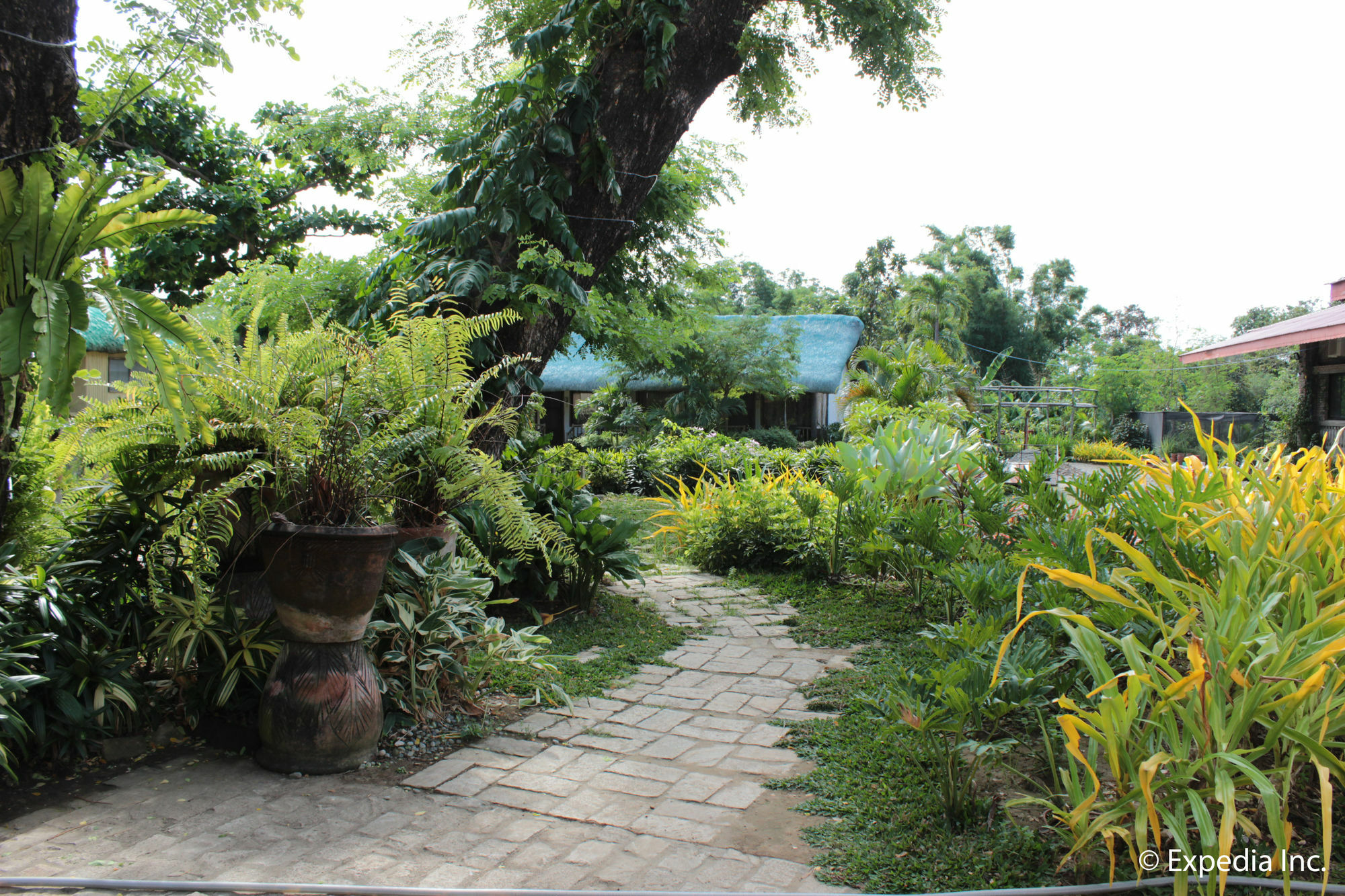 Reddoorz Plus Near Vigan Convention Center Exterior photo
